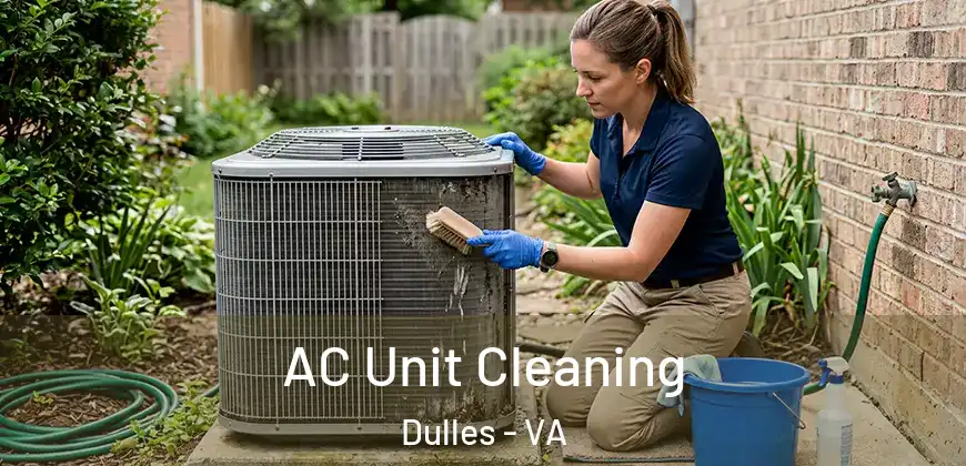 AC Unit Cleaning Dulles - VA
